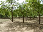 19112P1000957.JPG