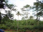 14705IMG_5087.JPG