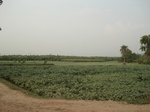 21907DSC08504.JPG