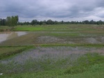 33400RIMG0140.JPG