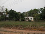 31913IMG_5334.JPG