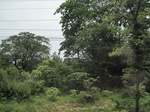 34369IMG_5283.JPG