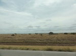 36050DSC02770.JPG