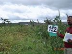 69260152c-irrigated-supplemental-groundwater-millet-dominant-sugarcane.jpg
