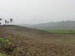 45873CIMG3075.JPG