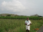 13357037c-irrigated-supplemental-groundwater-sugarcane-millet-sorgum-doublecrop.gif
