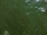 58063CIMG2357.JPG