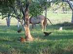 32030IMG_5702.JPG