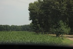 2024-08-05_14-55-51_07EEBC08-4525-44EA-9EBA-0AD58DE12A8B.jpeg