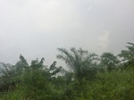 49923CIMG6260.JPG