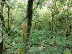46554CIMG0843.JPG