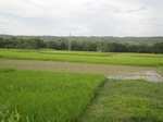 21391DSC00670.JPG