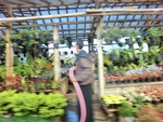 30610CIMG0410.JPG