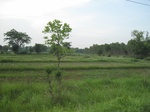 34396IMG_5312.JPG