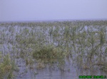 5902007-08-05_10-00-25_tag.jpg