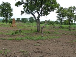 18624P1000462.JPG