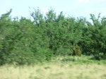 30101CIMG0049.JPG