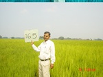 11403gt165-cropland-1.jpg