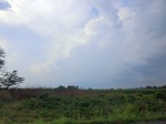 57361CIMG3598.JPG