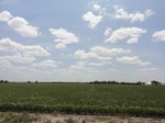 35987DSC02257.JPG