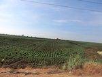 56110CIMG6811.JPG