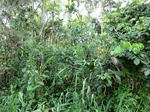 46542CIMG0831.JPG