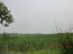 33019CIMG2179.JPG
