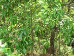 31491CIMG1357.JPG