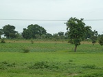 18724P1000562.JPG