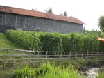 15663IMG_4735.JPG