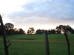 32366p98_s.jpg