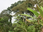 48119CIMG4456.JPG