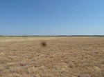 39261P1070776.JPG