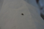272IMG_4168.JPG