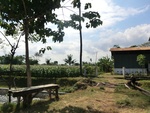 31436CIMG1300.JPG