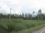 26712IMG_3480.JPG