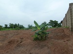 18371P1000207.JPG