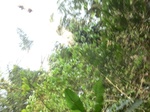 48053CIMG4390.JPG