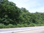 33593RIMG0258.JPG