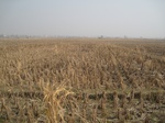 8437IMG_0262.JPG
