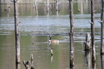 403IMG_3512.JPG