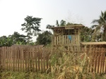 47447CIMG3784.JPG