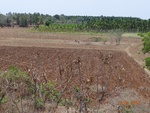 51903Tank ID 1800057 Tagarigatta 1.JPG
