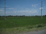 33477IMG_5716.JPG