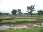33290IMG_5620.JPG