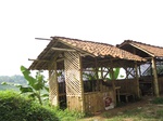 15335IMG_4175.JPG