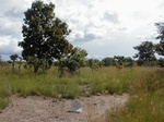 12206GT030_Shallow_Soil_Fallow.JPG