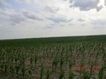 29500CIMG0810.JPG