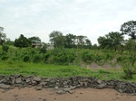 18399P1000235.JPG