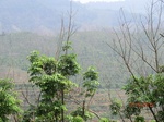 53746CIMG7146.JPG